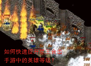 如何快速提升星王合击手游中的英雄等级? 如何快速提升星王合击手游中的英雄等级?