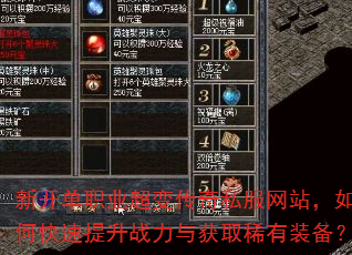 �¿���ְҵ���䴫��˽����վ����ο�������ս��