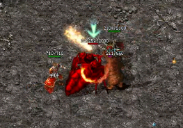 Ϊʲô�������ר����С��ȥ�ݺ����˺���