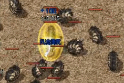 紫色装备 紫色装备