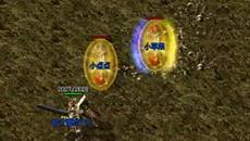 �ճ��������������ʯ��Ƭ�����Ǹ����õ�