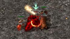 Ϊʲô�������ר����С��ȥ�ݺ����˺���