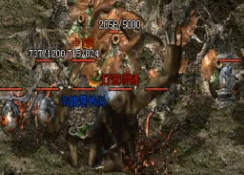 �����������ȥ��ɳ�Ϳ�ʱҪ׼����Щ����