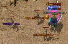 ��ѩ�����ʿ��ֻ���̰�ѡ�Լ��������