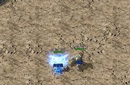 ��ʢ����Ļ�����������Щע���