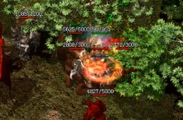 �¿�������վ��Щ�򱦵�ͼ���Բ��ܴ���