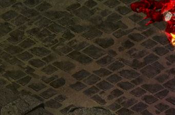 ��ְҵ�汾�����ɱ���������ʲô�ô���