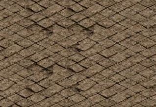 �¿�������վţħ�����ܱ�����Ʒװ��