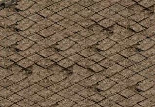 ����sf��վ����ֵ���Ƽ�ȴ���ش�����