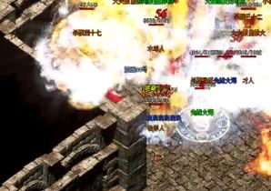 1.76��Ʒ������Щ�������������Ƭ