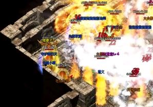 �ڷ�ʢ�����ﻨǮҲӦ������ȷ�Լ���Ŀ��