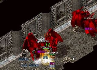 Ϊʲô�����´���sf��������������