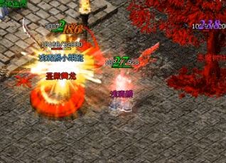 �����������ʲôʱ�����ѧϰ����