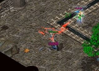 ��Ҫ����Ѫ����SF�ж���ս��