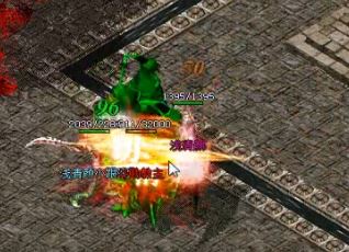 ����ڴ���˽��������������