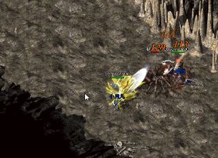 ������ѡ��װ��ȡ��������