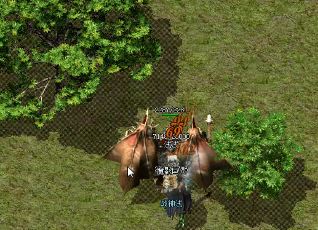 ����ѩ���桷����Щǿ��������Խ��