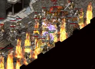 ����ڵ���ְҵ���湫����ץ���߶���̽���