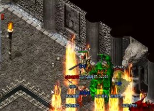 如何杀死蜘蛛 如何杀死蜘蛛