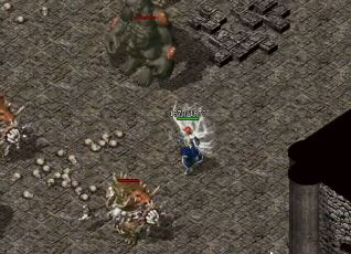 ɢ����ҿ���ȥ��Щ��ͼ������boss