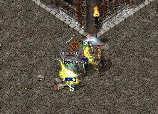 ǿ��ı�����������