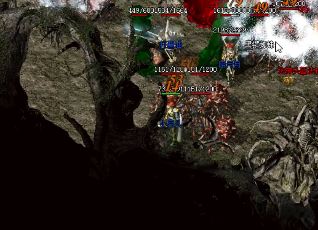 ��1.76������ѡװ��ҲҪ��װ���Ƿ��ܵõ�