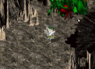 ����˽����һ����ı��˿�����