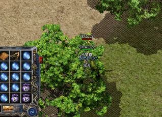 ���湥ɳ��ʦ̫�ٸ���ô�죿