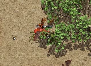 �ڴ���������Ҫע��ʱ��