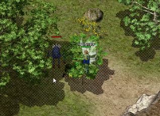 ����sf��ʦ���ѧ��������ɹ������Լ�