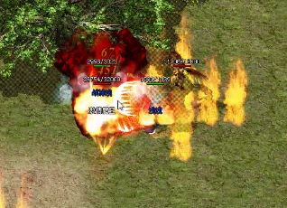 �¿�������վ��ʿ�������Ƽ�