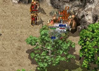 �ڴ���˽���������д���������Щע������