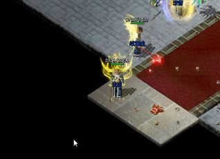 �¿�����sf��Ϸǰ�ڴ�Ҷ��ù�������