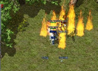 ����˽���в�ͬ�׶�Ҫ��ôѡ