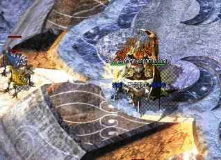 ʹ��ף���͵ľ��弼����ʲô��