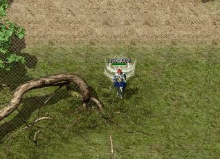 �����л�boss��������ʲô