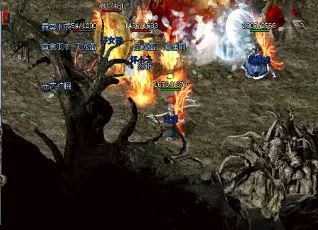 �����桷�����ɱ�����ȡ���ԣ�����ȳ�����Ѱ���ֲ�