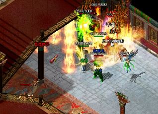 նǧ����ְҵ����ר��װ���������ƹ���