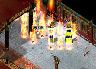 նǧ����ְҵ����ר��װ���������ƹ���