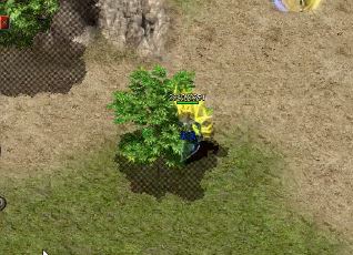 开启隐藏任务: 开启隐藏任务: