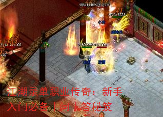 ����¼��ְҵ���棺�������űر�ʮ��ʮ������