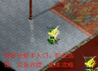 ���ξ��������š�ְҵѡ��װ�����ɡ���������