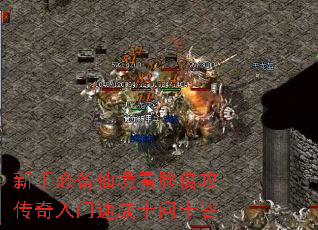 新手必备仙境看脸倍攻传奇入门速成十问十答 新手必备仙境看脸倍攻传奇入门速成十问十答