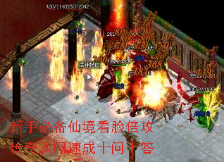 新手必备仙境看脸倍攻传奇入门速成十问十答 新手必备仙境看脸倍攻传奇入门速成十问十答