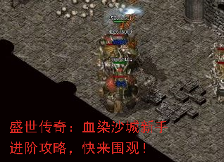 ʢ�����棺ѪȾɳ�����ֽ��׹��ԣ�����Χ�ۣ�