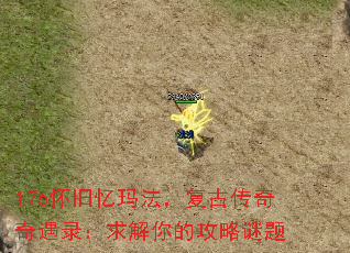 176�������귨�����Ŵ�������¼�������Ĺ�������