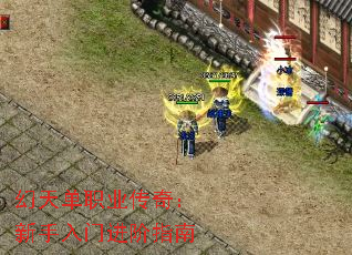 ���쵥ְҵ���棺�������Ž���ָ��