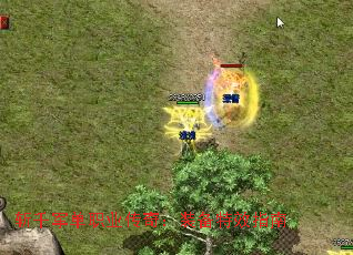 նǧ����ְҵ���棺װ����Чָ��