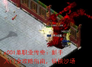 a001单职业传奇:新手入门全攻略指南,纵横沙场 a001单职业传奇:新手入门全攻略指南,纵横沙场