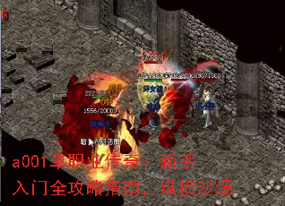 a001单职业传奇:新手入门全攻略指南,纵横沙场 a001单职业传奇:新手入门全攻略指南,纵横沙场